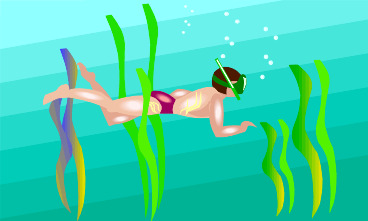 Snorkeler 1